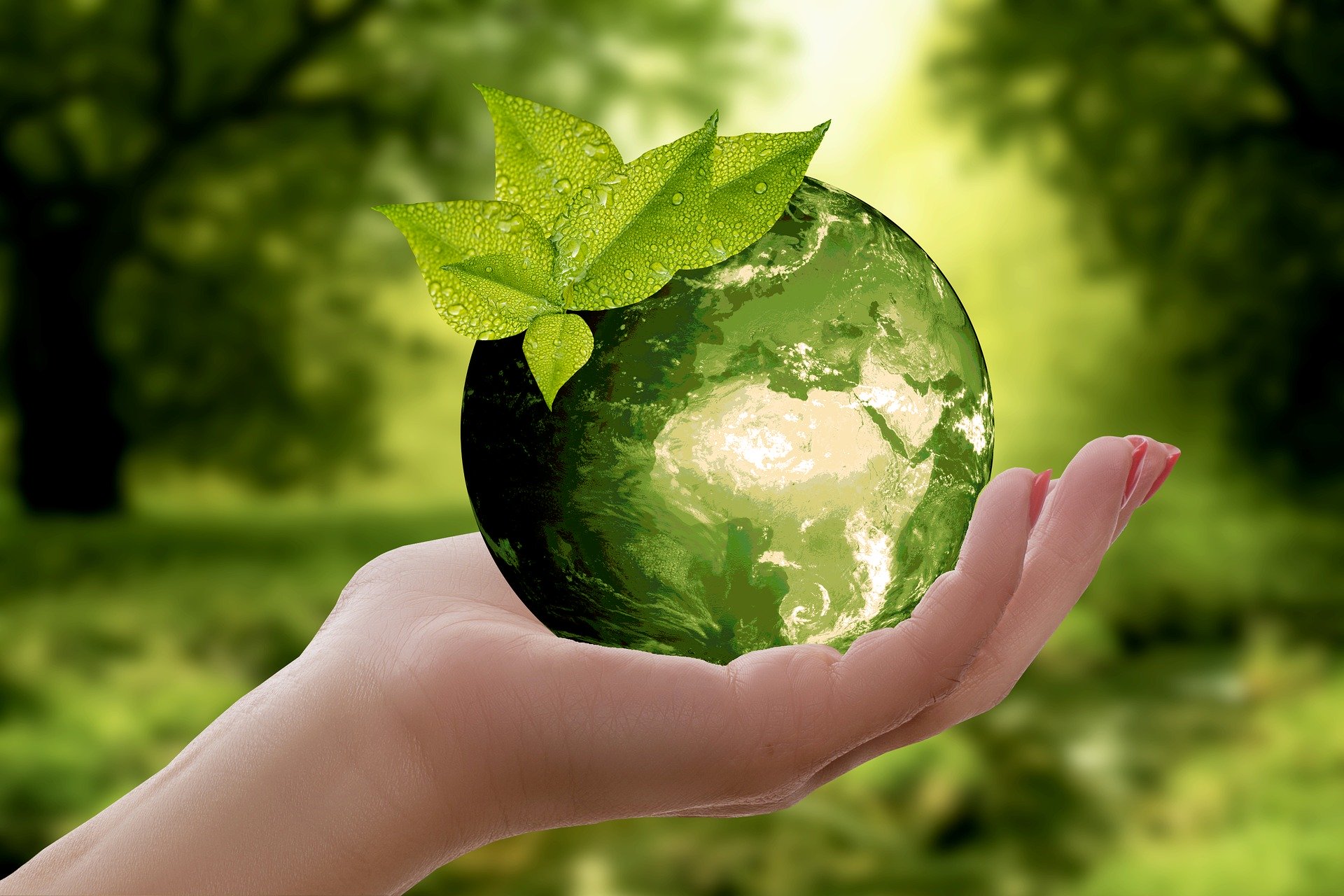Image de l'article 18 mars, Journée mondiale du recyclage !