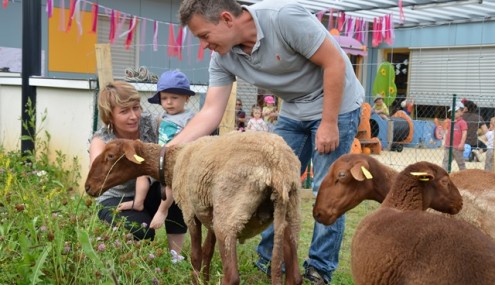 Image de l'article Accueil de 3 moutons en crèche !