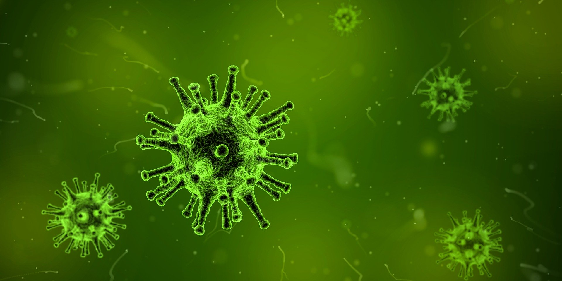 Image de l'article Coronavirus : quels conseils pour les crèches ?