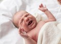 nourrissons plus sensibles à la douleur que les adultes