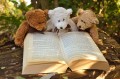 teddy-bear-2855982_960_720