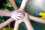 Top view of high five kids hand gesture in junior football team.Boy standing in circle with stack of hands together showing unity.Symbol of celebration or greeting,Success and teamwork Concept.