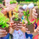 People Hands Cupping Plant Nurture Environmental